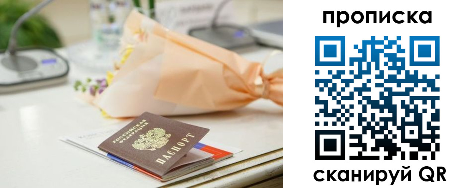 прописка гарантия в Ржеве